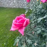 Goscinne U Zofii * Bukowina Tatrzańska