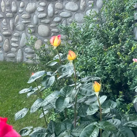 Rum i privatbostad Goscinne U Zofii