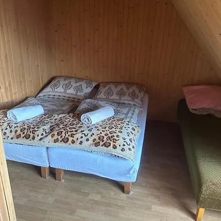 Goscinne U Zofii בית אירוח בוקוווינה טטז'אנסקה